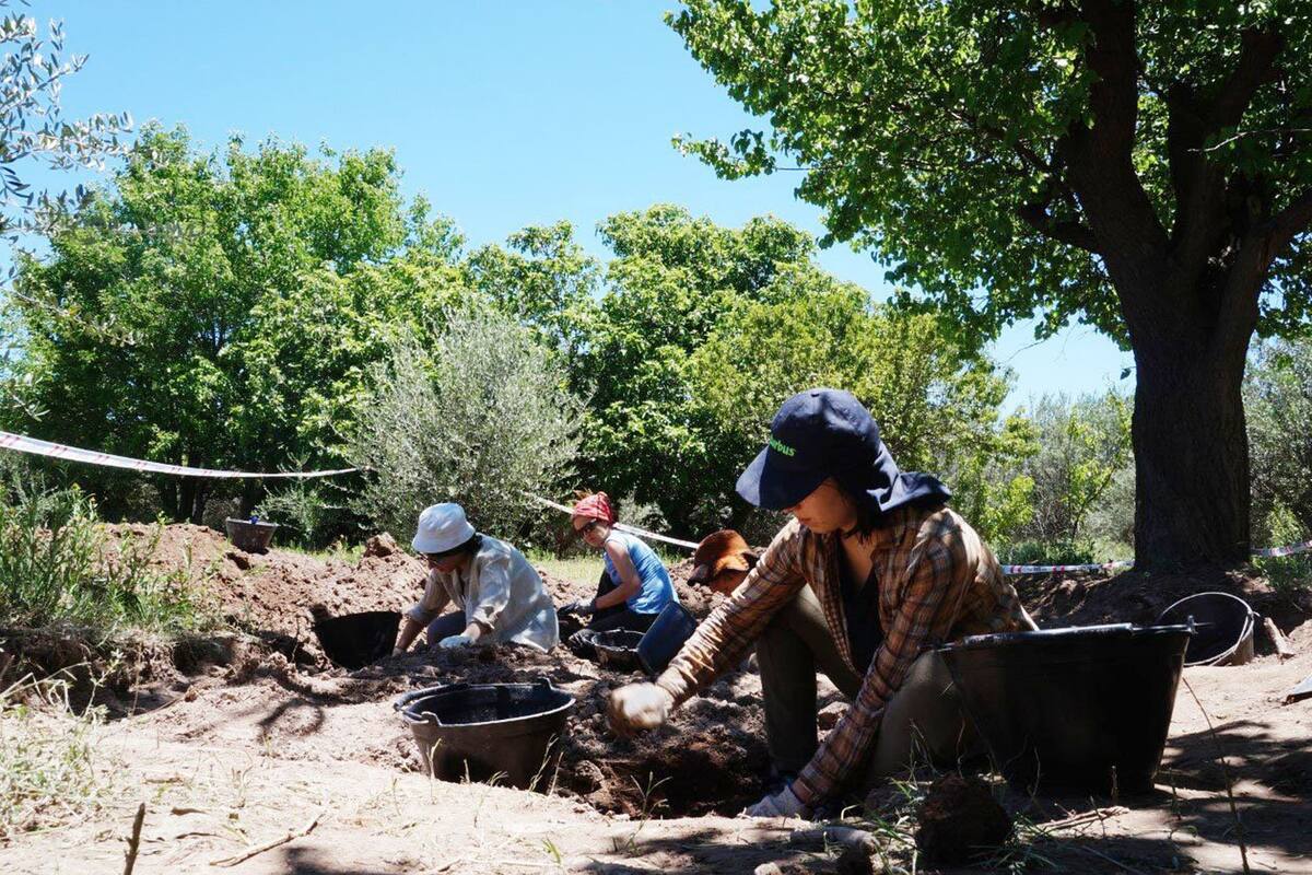 La delicada tarea de exhumación de restos