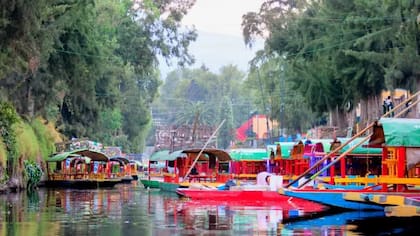 La demanda de productos agrícolas de las chinampas disminuyó enormemente