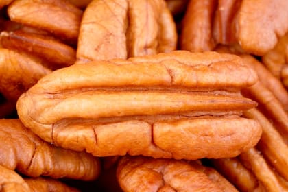 La denominación “pecán” o “pecana” deriva del vocablo indígena algonquín “Pakan”, que alude al fruto como “nuez que requiere una piedra para romperse”