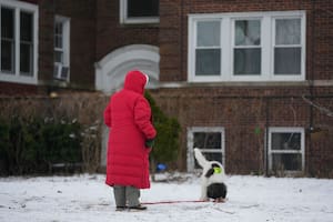 Cuánta nieve cayó este fin de semana y por qué vuelven las tormentas invernales