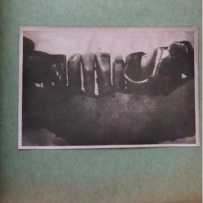 La dentadura de Hitler, en una fotografía incluida en el informe realizado por el Smersh, el servicio de contrainteligencia ruso que fue el primero que dio con el cadáver del líder nazi