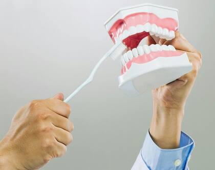La dentadura se ve muy beneficiada con esta vitamina