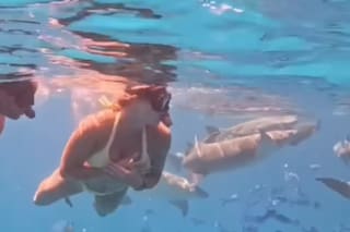 La figura del tenis que nadó entre tiburones y dejó a todos sin palabras