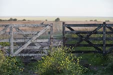 Venta del inmueble rural: el nuevo mapa fiscal para personas, sucesiones y empresas familiares