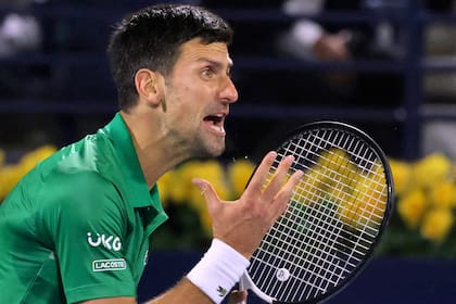 La descarga emocional de Novak Djokovic en su regreso al tenis después de 80 días: en Dubai venció al italiano Musetti y avanzó a los 8vos de final.