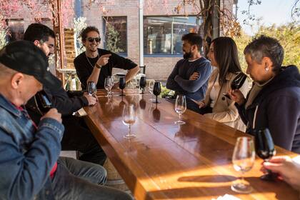 La descontracturada degustación en la bodega.