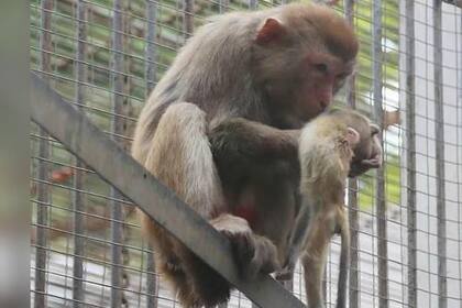 La desgarradora escena conmovió a todos en las redes sociales