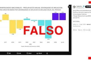 Milei compartió posteos falsos sobre los fondos que el Gobierno giró a las universidades