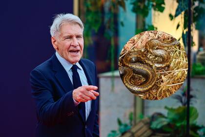 La desopilante reacción de Harrison Ford al enterarse de que bautizaron con su nombre a una nueva especie de serpiente