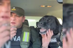 La despedida de Pequi generó mucha emoción (Captura video)