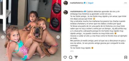 La despedida de Torito, el perro de Matías Defederico