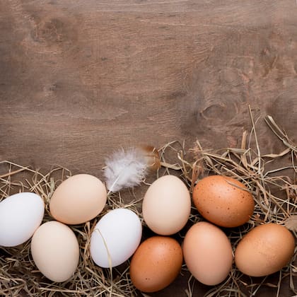 La diferencia principal es la raza de las gallinas que los producen (imagen ilustrativa)