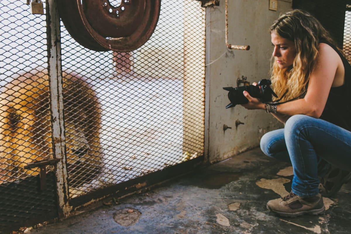 La difícil tarea de rescatar y defender animales.