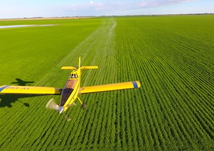 La digitalización del agro está ayudando a simplificar y eficientizar la manera en la que se hacen las cosas