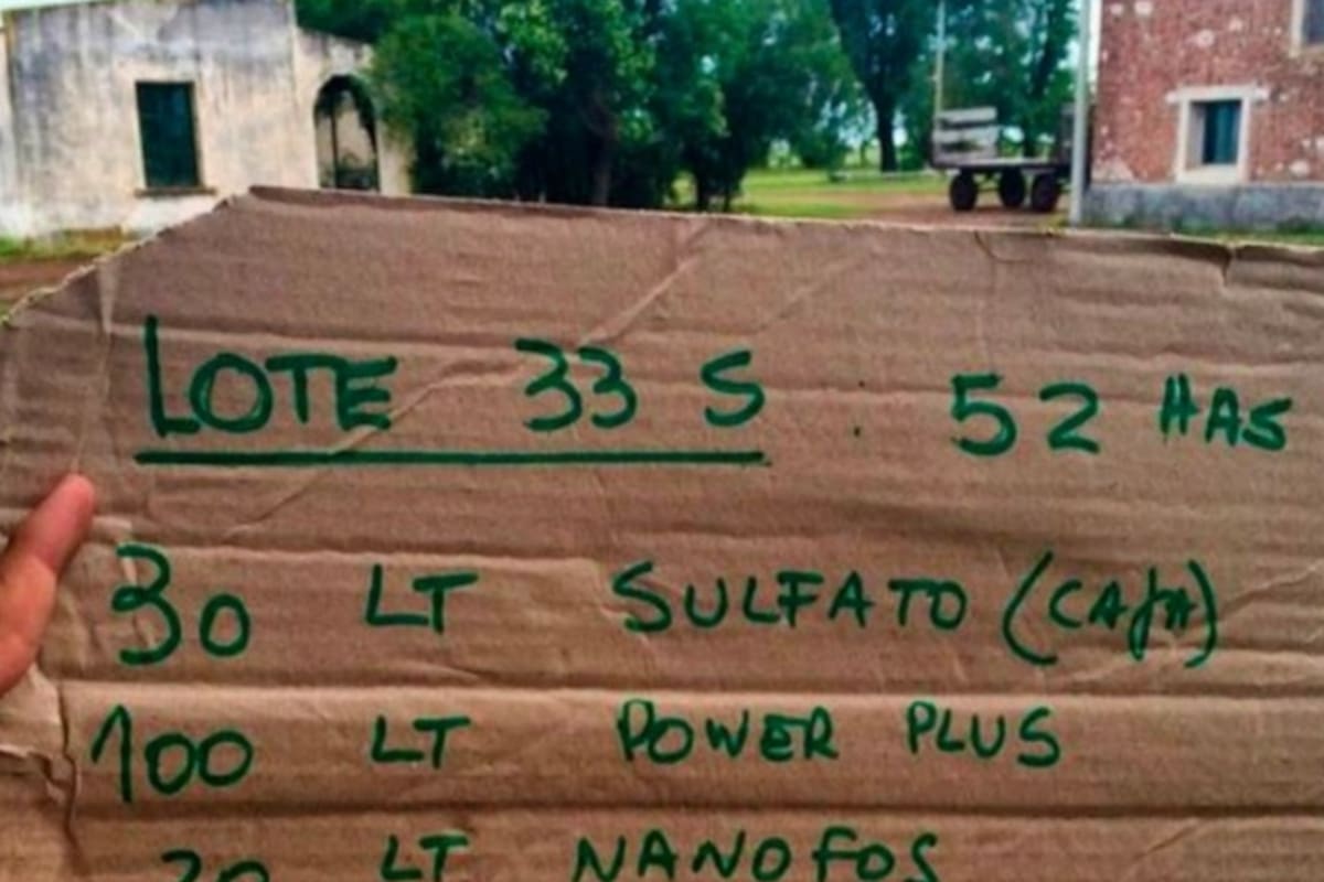 La digitalización ofrece oportunidades para reemplazar el formato papel