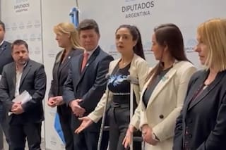 Tetaz intervino en el cruce entre la diputada Propato y la embajadora británica por una remera de Malvinas