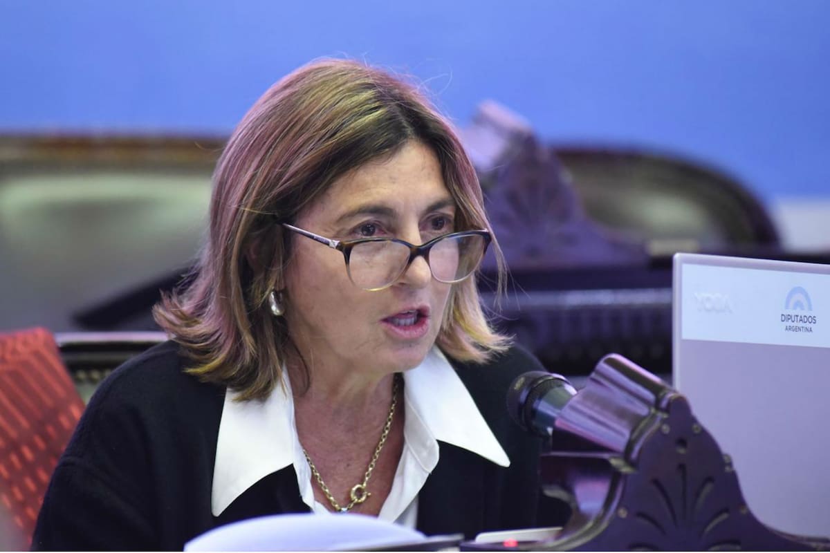 La diputada Alicia Fregonese: "Necesitamos salir de los parches, reactivar la economía y no vivir de emergencia en emergencia"