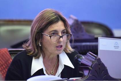 La diputada Alicia Fregonese: "Necesitamos salir de los parches, reactivar la economía y no vivir de emergencia en emergencia"