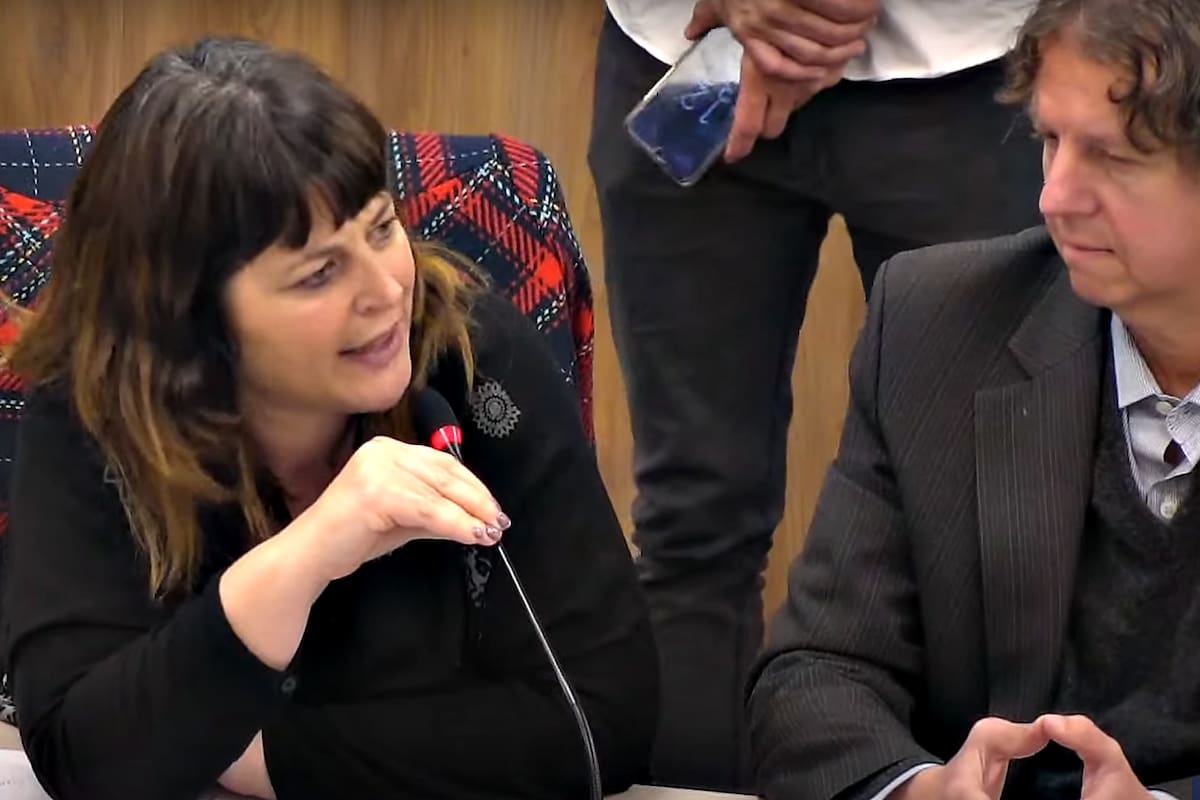 La diputada Carolina Gaillard en la comisión de Libertad de Expresión de Diputados