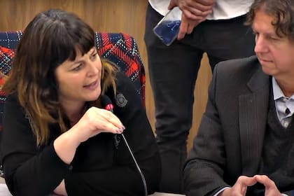 La diputada Carolina Gaillard en la comisión de Libertad de Expresión de Diputados