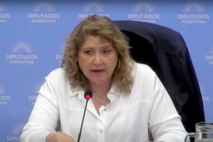 La diputada Carolina Yutrovic (Unión por la Patria) preside la comisión de Defensa del Consumidor, del Usuario y de la Competencia