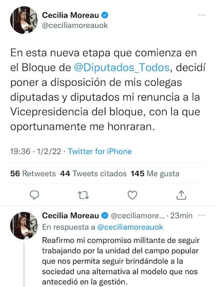 La diputada Cecilia Moreau anunció su renuncia a la vicepresidente del bloque en diputados