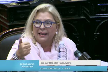 Elisa Carrió apuntó contra las cerealeras