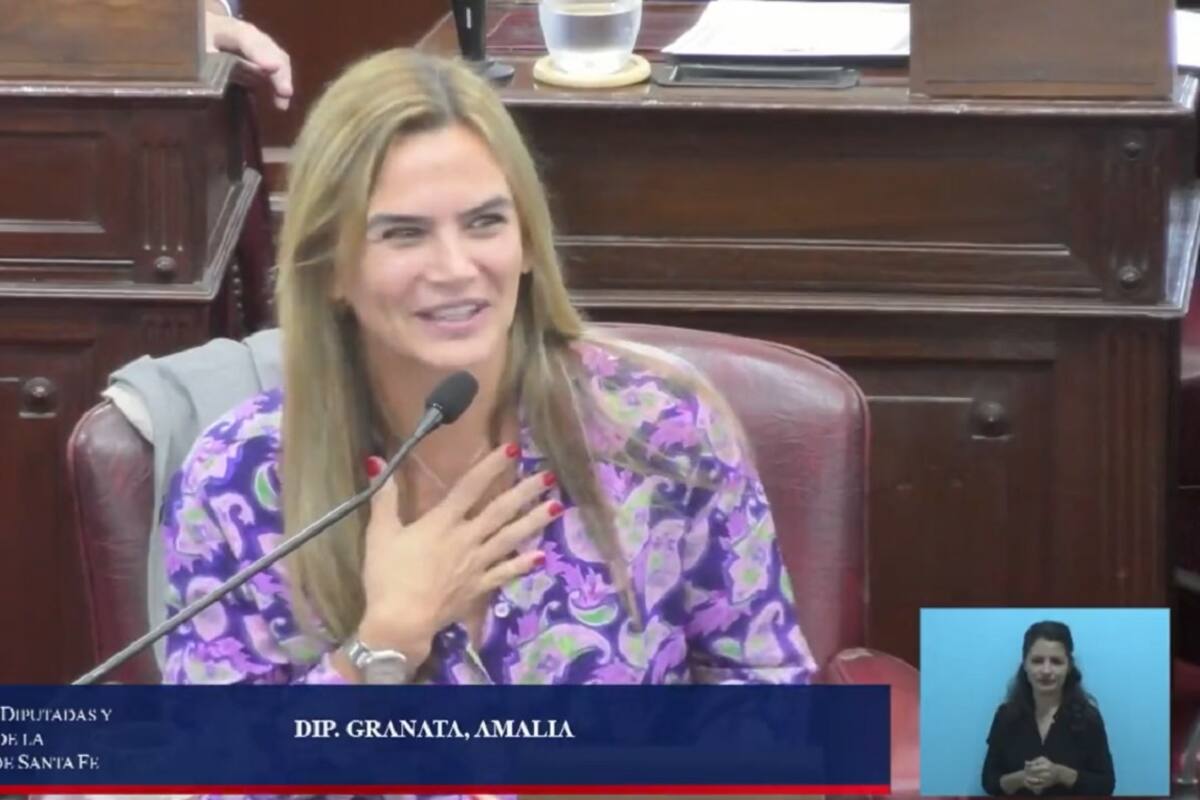 La diputada de Somos Vida, Amalia Granata