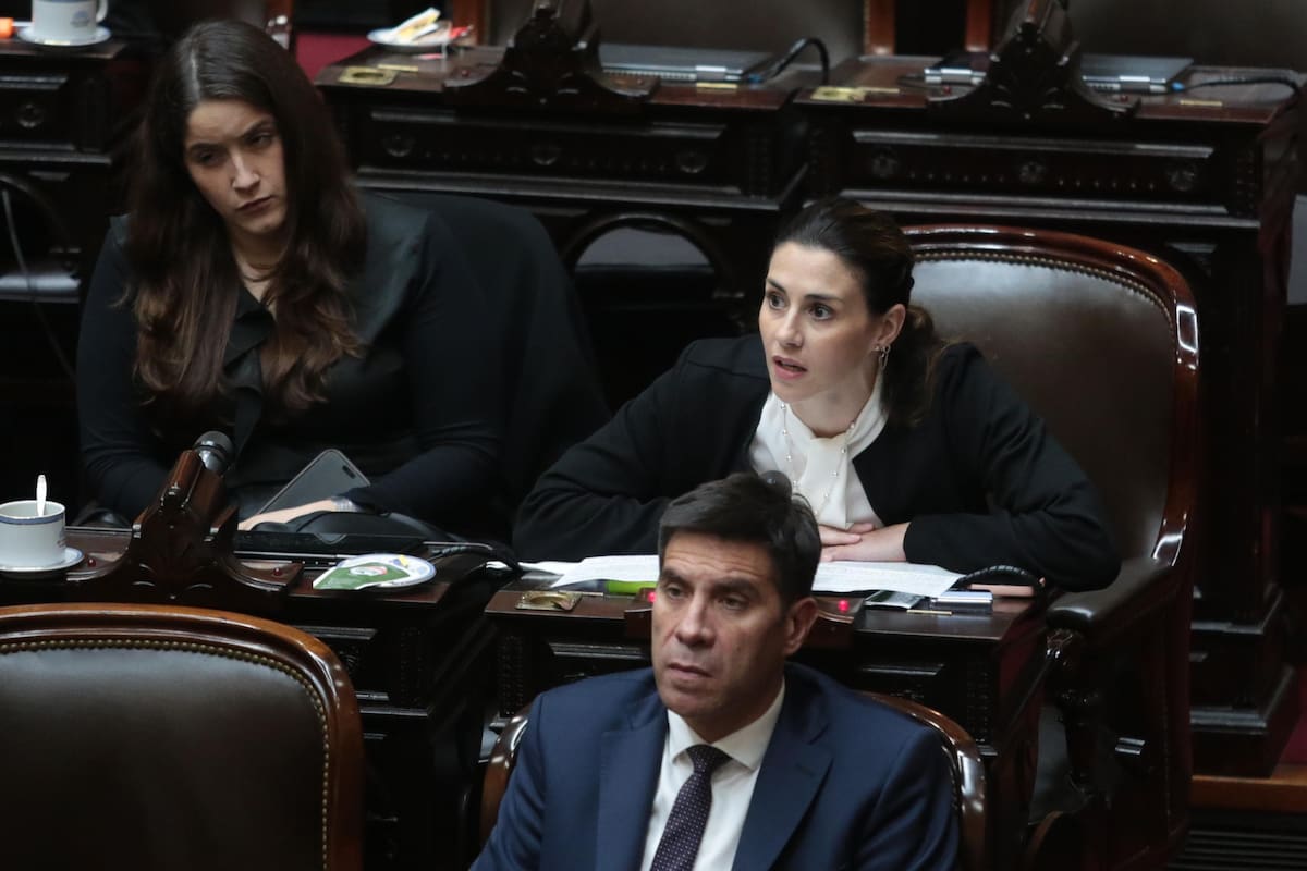 La diputada del bloque Coherencia responsabilizó a Guillermo Francos por la difusión de los audios