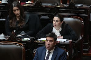 La diputada del bloque Coherencia responsabilizó a Guillermo Francos por la difusión de los audios