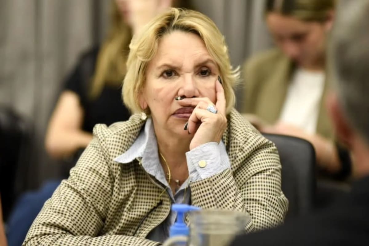 La diputada del Pro por Chaco, María Inés “Marilú” Quiroz