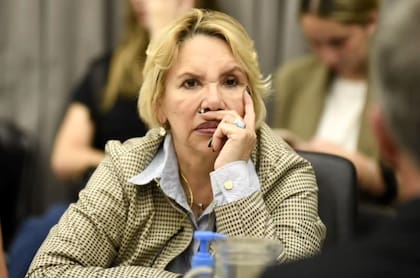 La diputada del Pro por Chaco, María Inés “Marilú” Quiroz