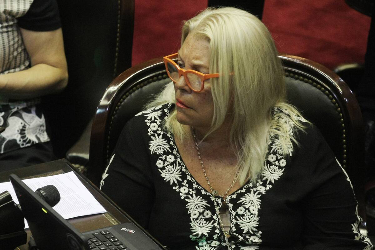 La diputada dijo que, como el expresidente de la Corte no le puede hace un golpe de Estado a Macri, se lo hace a Rosenkrantz