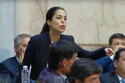 La diputada electa dijo que fue "violentada" por el gobierno