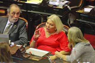 Diputados del Pro cruzaron a Carrió por sus dichos sobre la sesión del aborto