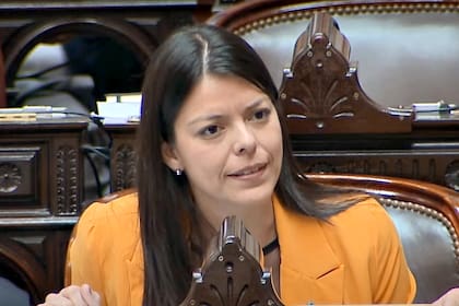 La diputada Emilia Orozco, presidenta de la Comisión de Libertad de Expresión