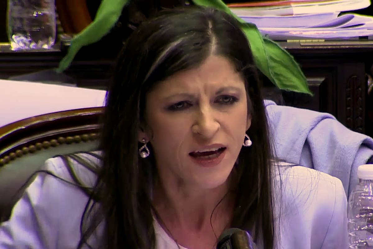 La diputada Fernanda Vallejos