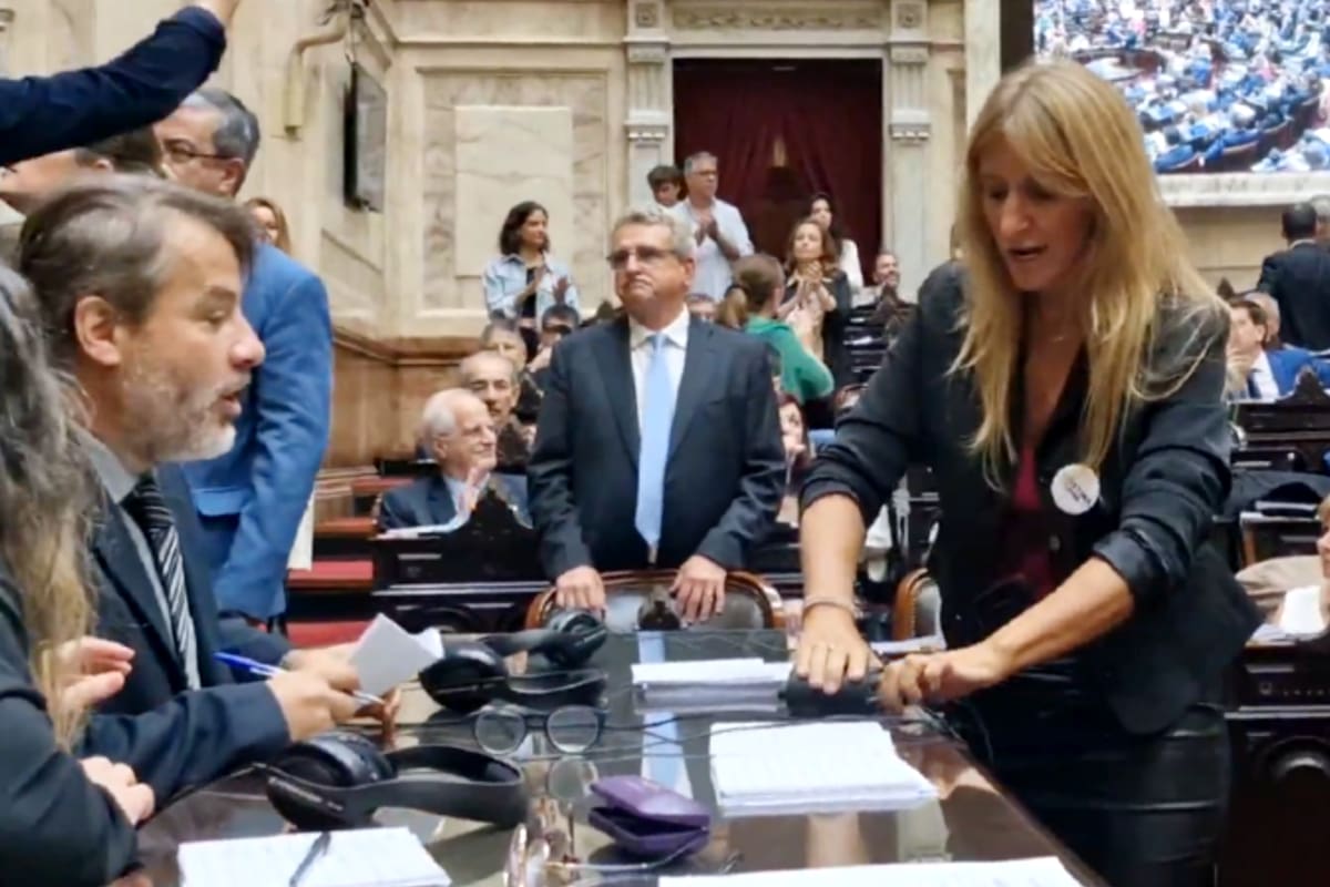 La diputada Florencia Carignano sorprendió a algunos de los presentes al ser captada en un video, desenchufando los cables de una comanda de audio en el recinto