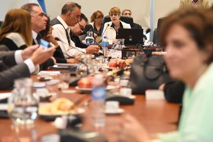 La diputada Gabriela Burgos (UCR-Jujuy) encabezó las audiencias