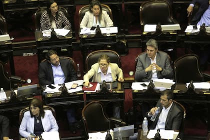 La diputada Graciela Camaño ayer en el recinto de la Cámara baja, donde la oposición argumentó que la iniciativa oficial desequilibraba el Código Penal