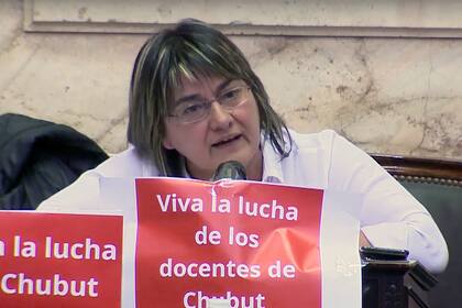 La diputada Mónica Schlotthauer