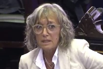 La diputada Mónica Frade defendió su posición sobre el dióxido de cloro