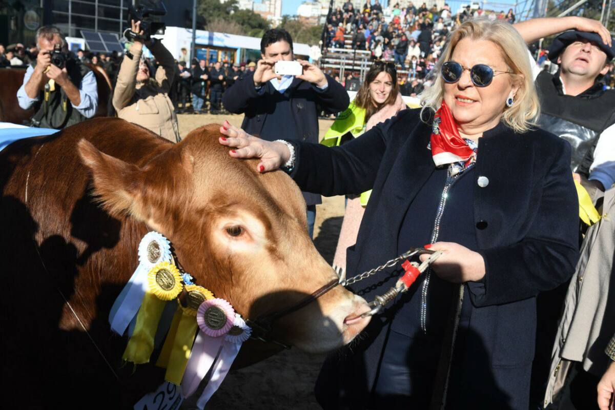 La diputada nacional con el toro Gran Campeón Macho Limousin