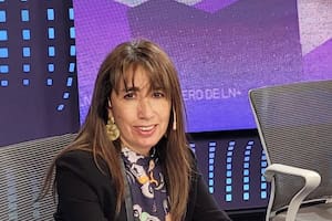La diputada nacional de la UCR Roxana Reyes