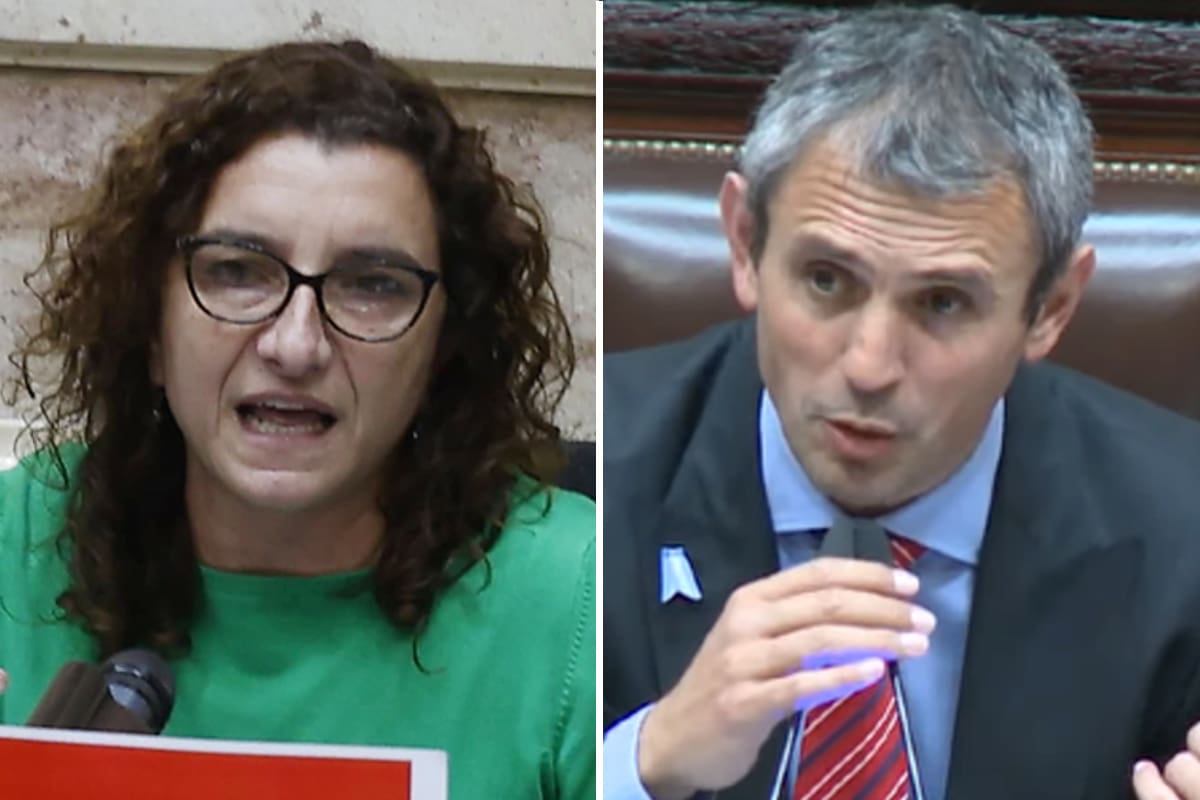 La diputada nacional del Frente de Izquierda-Unidad (FIT-U), Vanina Biasi, junto al presidente de la Cámara de Diputados, Martín Menem