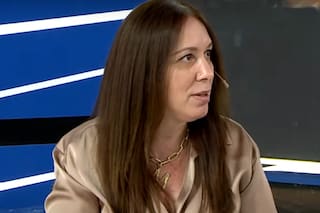 Vidal: “La Ciudad no necesita motosierra: no es justicia sino destrucción”