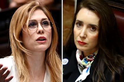Lemoine atribuyó atribuyó la brecha salarial entre diputados y senadores a una decisión de Villarruel