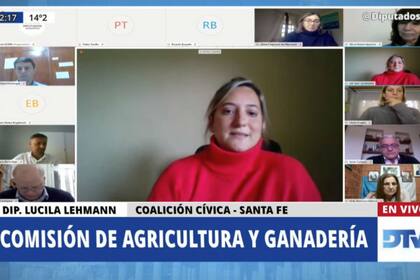 La diputada nacional por la Coalición Cívica, Lucila Lehmann