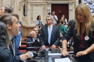 La diputada nacional por Unión por la Patria al momento de desconectar los cables