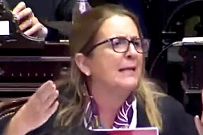 La diputada Najul dijo que no se necesitan más de 100.000 dosis para este grupo de menores